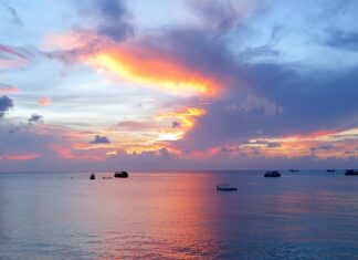 Jak dotrzeć na Koh Tao?