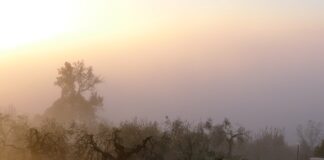 W jakim kraju w Europie żyje się najtaniej?