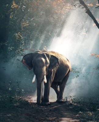 Czy we Francji można spać na dziko?