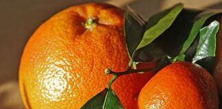 Gdzie jechać w marcu do ciepłych krajów?