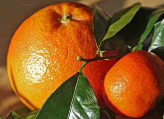 Gdzie jechać w marcu do ciepłych krajów?