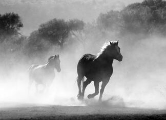 Gdzie można palić papierosy w Tajlandii?