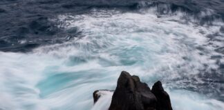 Jakie są ceny na Malcie?