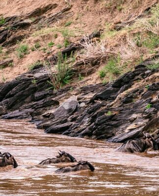 Jak długo trwa lot do Kenii?