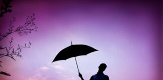 Jak wygląda winieta online?