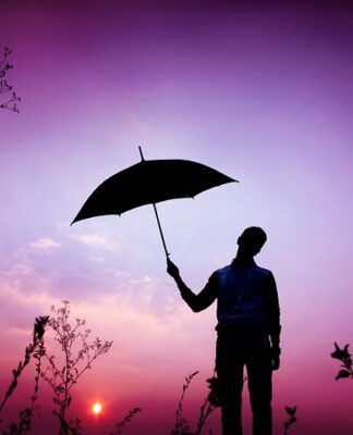 Jak wygląda winieta online?