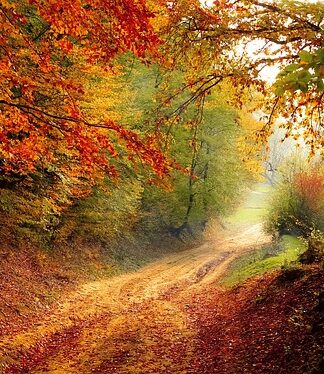 Gdzie przez cały rok jest 25 stopni?