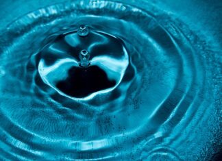 Czy można zamrozić kopytka?