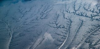 Ile dać napiwku w hotelu?