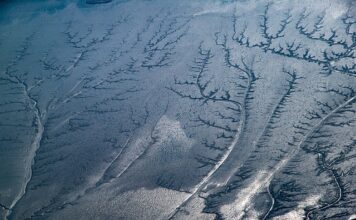 Ile dać napiwku w hotelu?