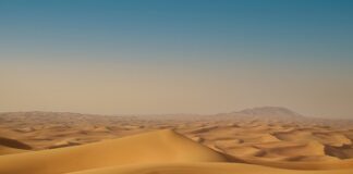 Czego nie można przywieźć z Dubaju?