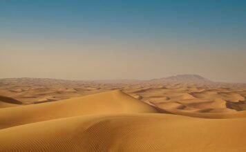Czego nie można przywieźć z Dubaju? Czego nie można przywieźć z Dubaju?