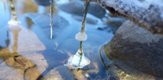 Gdzie jest powyżej 20 stopni w styczniu?