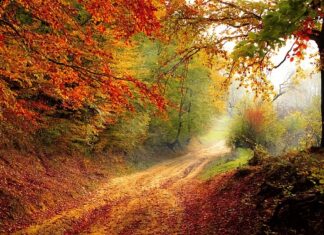 Ile trwa rok szkolny na Ukrainie?