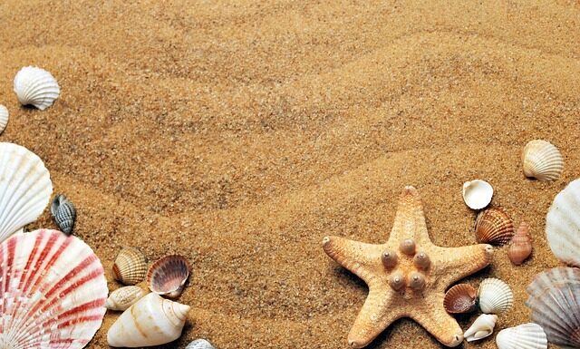 Ile kosztuje mieszkanie w Chorwacji?