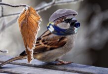 Jak ogrzać pokój za darmo?