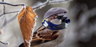 Jak ogrzać pokój za darmo?