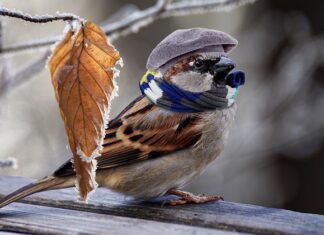 Jak ogrzać pokój za darmo?