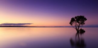 Ile kosztuje butelka wody w Tajlandii?