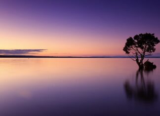 Ile kosztuje butelka wody w Tajlandii?