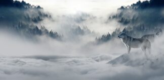 Jak przetrwać zimę w Portugalii?