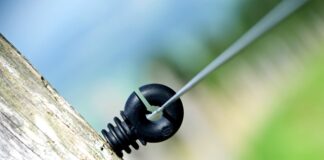 Ile Polaków żyje w Portugalii?