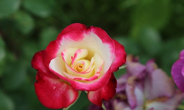 Kiedy odmowa ESTA? Kiedy odmowa ESTA?