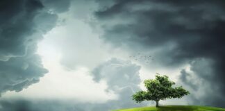 Jaka pogoda na Malcie w styczniu?