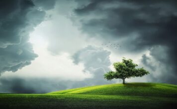 Jaka pogoda na Malcie w styczniu?