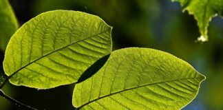 Gdzie zimą na wakacje bez paszportu?