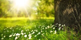 Gdzie na świecie jest ciągle lato?