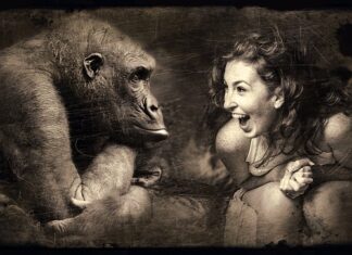 Kto jest silniejszy goryl czy tygrys? Kto jest silniejszy goryl czy tygrys?