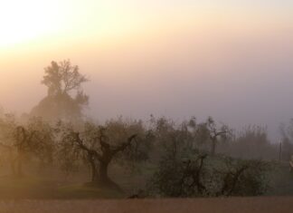 W jakim kraju jest najgoręcej?