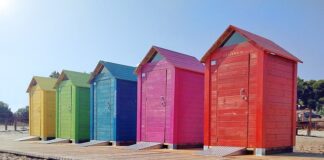 Czy w Hiszpanii są karaluchy?