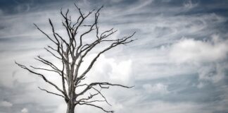 Gdzie żyje się najtaniej w Polsce?