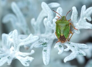 Gdzie są tanie domy na świecie?