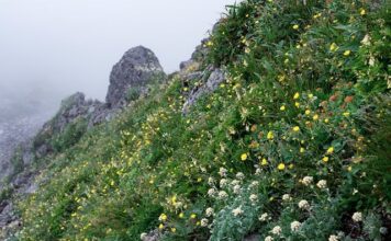 Ile trwa lot do Japonii samolotem? Ile trwa lot do Japonii samolotem?