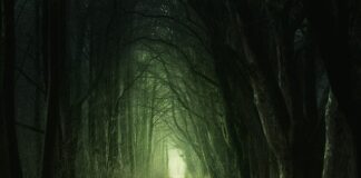 Jakie przejście graniczne Chorwacja Słowenia?