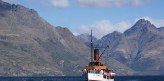 Ile zarabia się w Holandii?