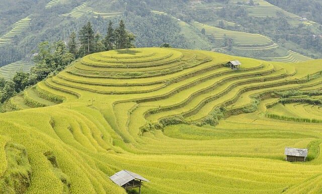 Czy warto jechać na Phi Phi?
