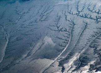 Czy zawsze trzeba dać napiwek?
