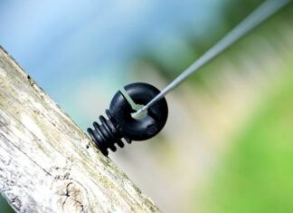 Jak Ruscy nazywają Polaków? Jak Ruscy nazywają Polaków?