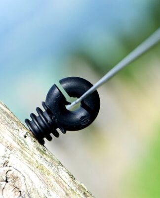 Jak Ruscy nazywają Polaków?