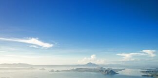 Jaki jest najmniejszy kot na całym świecie?