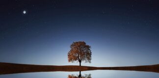 Gdzie znajduje się jezioro Bled?