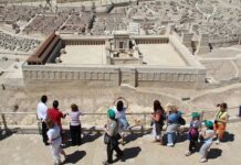 Jak długo leci się do Izraela? Jak długo leci się do Izraela?