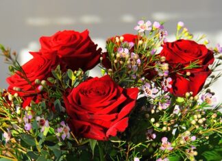 Jaki kraj jest najdroższy na świecie? Jaki kraj jest najdroższy na świecie?