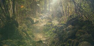 Ile kosztuje wycieczka do Tajlandii na 2 tygodnie?