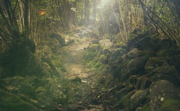 Ile kosztuje wycieczka do Tajlandii na 2 tygodnie?