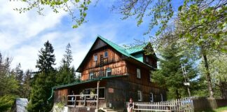 Czy Słoweńcy są Słowianami?